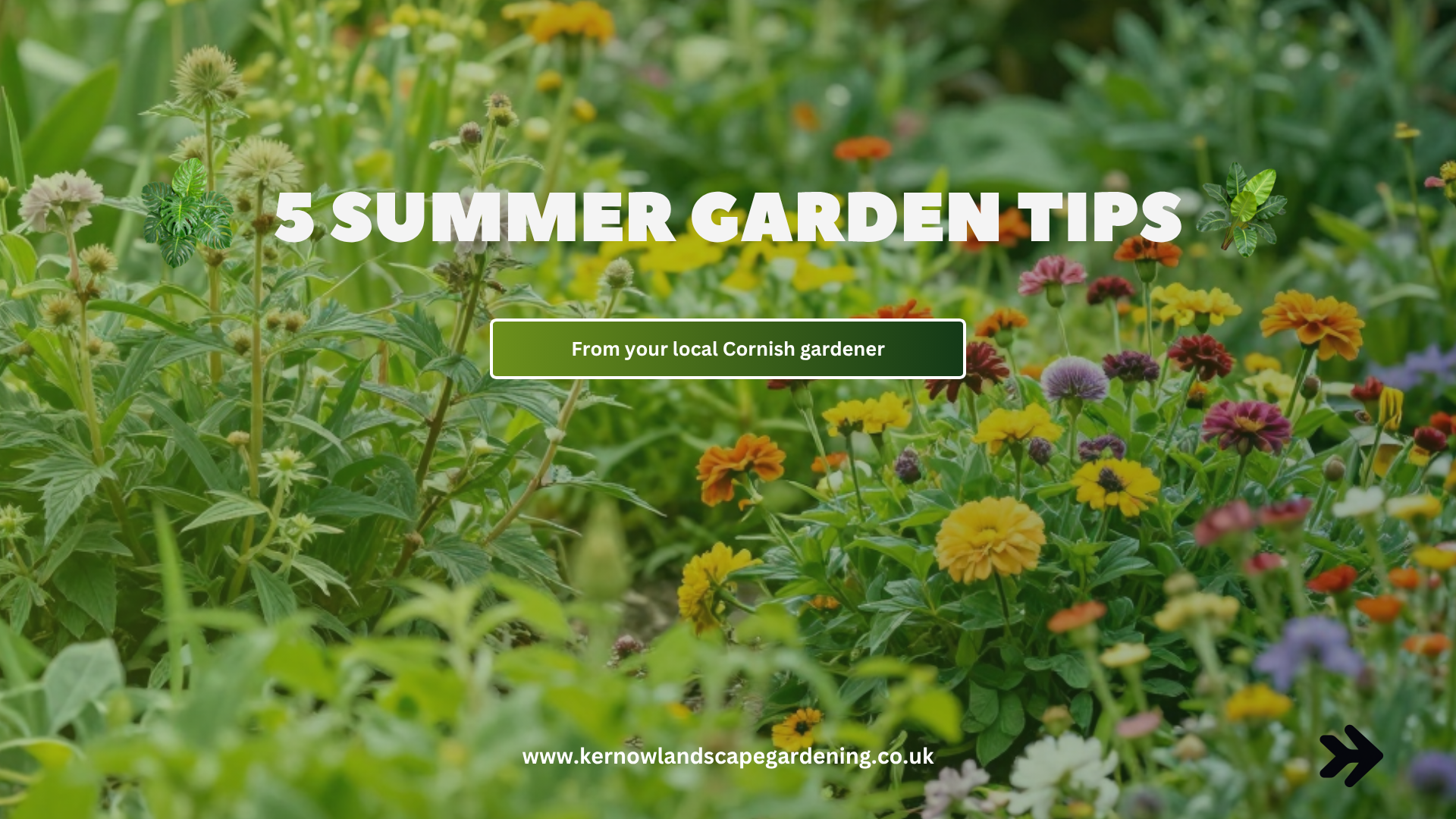 5 Summer Garden Tips From a Local Landscape Gardener in Cornwall